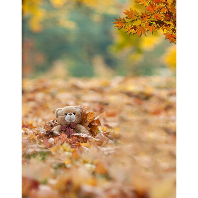 

Autumn Field Photo Backdrop 57FT Vinyl Fabric Cloth Digital Printing Photo Birthday Background s-2186