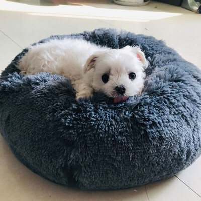 

NeillieN doghouseWarm super-long-haired dog kennel circular deep cat kennel super-sprouting Dog KennelPet nestPet mat