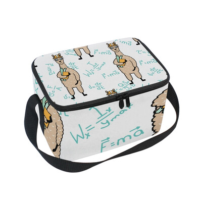 

ALAZA Lunch Box Math Teacher Llama Insulated Lunch Bag Large Cooler Tote Bagfor Men Women