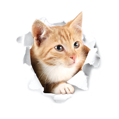 

Super Cute Vivid 3D Cat Wall Sticker Toilet Closet Waterproof Removable Kid Room Decoration