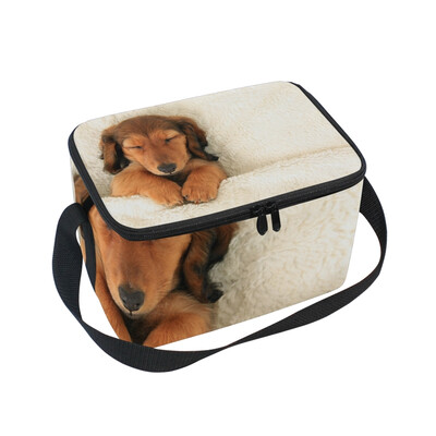 

ALAZA Lunch Box Insulated Lunch Bag Large Cooler Dachshund Puppy Tote Bag