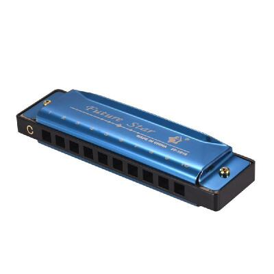 

Key of C Diatonic Harmonica Mouthorgan with ABS Reeds Mirror Surface Design 10 Holes Blues Harmonica Perfect for Beginners Profess