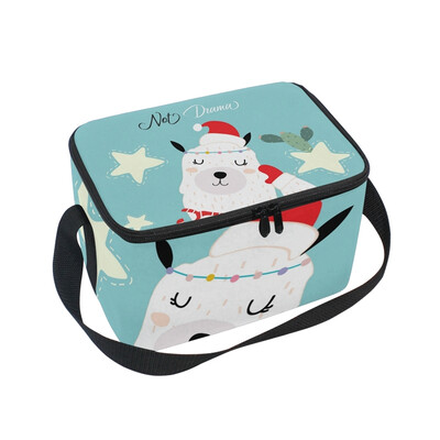 

ALAZA Lunch Box Insulated Lunch Bag Large Cooler Llama Cactus And Star Tote Bag