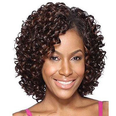 

QianBaiHui Short Kinky Curly Wigs for Black Women - American African Womens Wig Heat Resistant Synthetic Hair Fashion Full Wigs