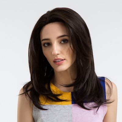 

Fashion Women Straight Hair Wigs Ladies Party Daily Natural Wave Dark Brown Natural Synthetic  Lace Wigs with Natural Bangs