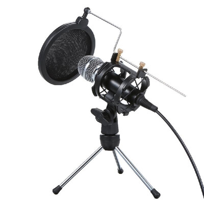 

Professional Condenser Microphone Mini Portable Recording Microphone Set for Voice Recording