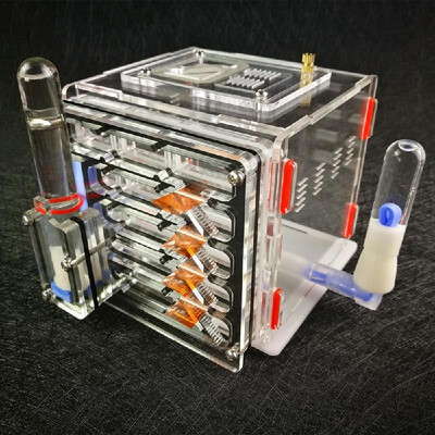 

DIY Antgranery Moisture Feeding Area Ant Farm Acryl Insect Villa Pet Advanced Mania For House Ants Birthday Present Gift