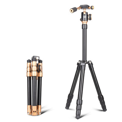 

QZSD Q066 Tripod with 360 Degree Swivel Ball Head for DSLR Cameras Phones