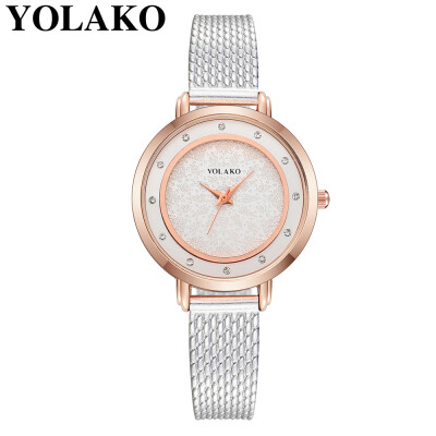 

RM Womens Casual Quartz Plastic Leather Band New Strap Watch Analog Wrist Watch