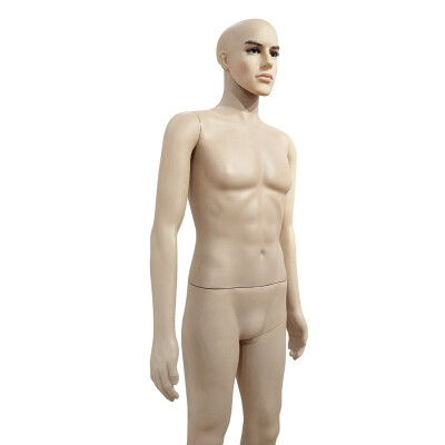 

Male Full Body Realistic Mannequin Dress Form Great for Displaying wBase