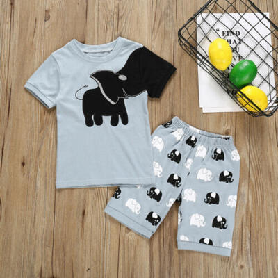 

UK Summer Kids Baby Boy Girl Clothes TopElephant Short Pant Sunsuit Outfits Set