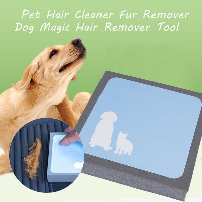 

Pet Hair Cleaner Dog Magic Hair Remover Tool Fur Remover Pet Hair Foam Hand Catcher Removal Sponge