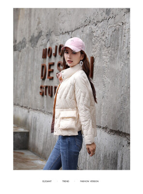 

Down jacket 2018 winter trend simple fashion personality long sleeve short style stand collar pure color elegant sweet fresh