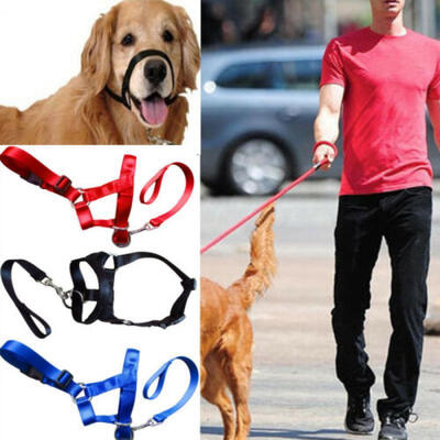 

Training Puppy Head Collar Halter Pet Mouth Traction Set Dog Muzzle Strap -XXL