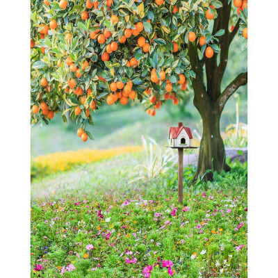 

Persimmon Tree Photo Backdrop 57FT Vinyl Fabric Cloth Digital Printing Background s-2191