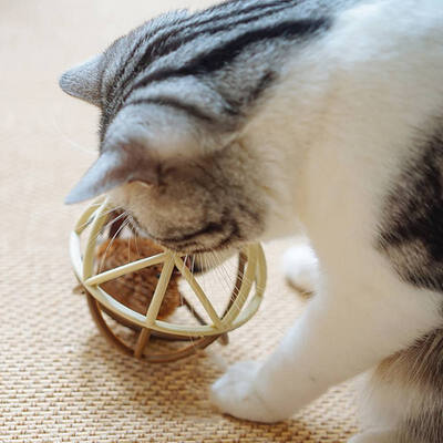 

Pet Cat Toys Ball Hamster Cat Toys Interactive Hollow Molar Toy Pet Supplies Matatabi toys