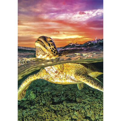 

5D DIY Full Drill Diamond Painting Cross Stitch Embroidery Kit Home Decor