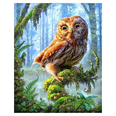 

5D DIY Full Drill Diamond Painting Forest Bird Cross Stitch Embroidery Kits