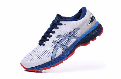 

ASICS GEL-KAYANO 25 Mens Running Shoes