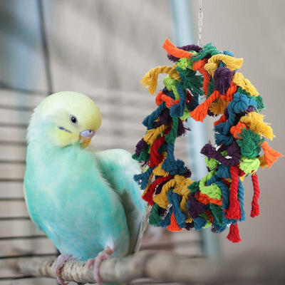 

Greensen Cotton Bird Pet Parakeet Hanging Swing Colorful Activity Rope Grinding Chew Bite Stand Ring Toy