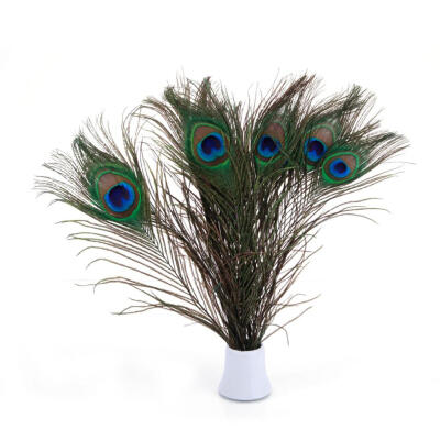 

100pcs Beautiful Decorative Peacock Feathers Multi-color for DIY Decoration