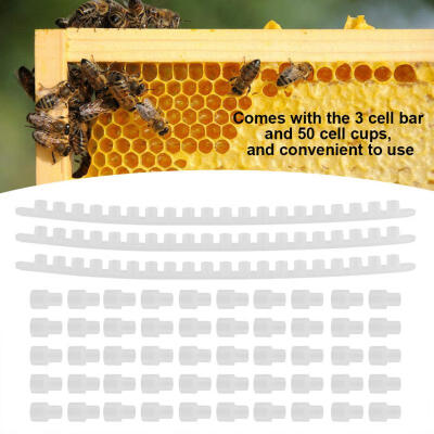 

Greensen 3Pcs Bee Cell Bars Strips with 50Pcs Cell Cups Beekeeping Queen Rearing Tool Supplies