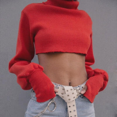 

Women Clothing Long Sleeve Sweater Short Tops Turtleneck Knitting Loose Sweaters