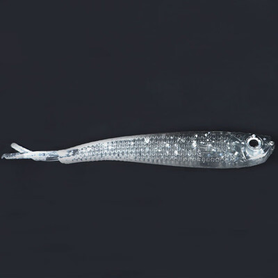 

New Hot 10pcslot Soft Lure 75mm Swimbaits Artificial Worm Soft Bait Fish Wobblers Carp Lead Sequins Flying Fishing Lure hot