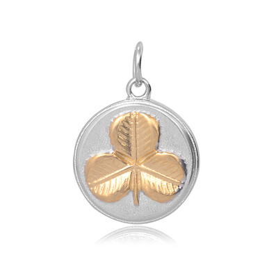 

316 Stainless Steel Pendants Flat Round with Clover Golden & Stainless Steel Color 23x195x35mm Hole 5mm