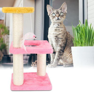 

Greensen Pet Cat Tree Scratcher Play Toy Three Pillar Three layer Hole Climbing Frame