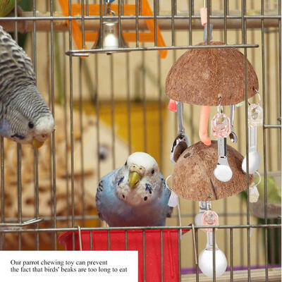 

Greensen Bird Cage Toy Coconut Shell Spoon Biting String Toys for Parrot Cockatoo Macaw