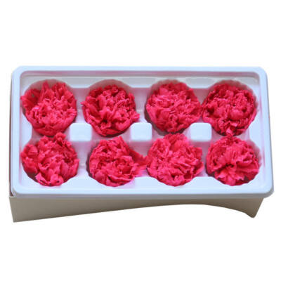 

Handmade Preserved Fresh Flowers Gift Pack Immortal Flower Eternal Carnation Heads for Gift