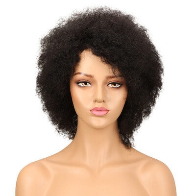 

Noble Afro Kinky Curly Wig Brazilian Human Hair Wigs Remy Non Lace Front Wig Free Shipping