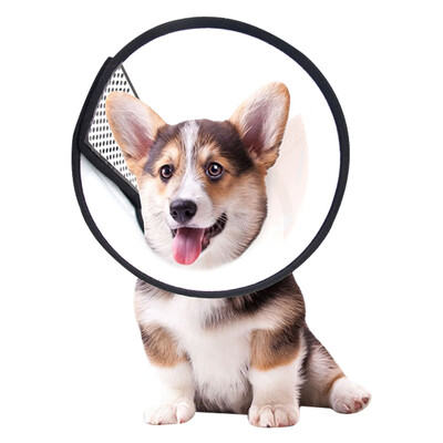 

Dream Bubble Elizabeth Circle Dog Collar Dog Head Set Cat Collar Pet Dog Collar Cat Head Cover Anti-Bite Circle Dog Supplies No 5