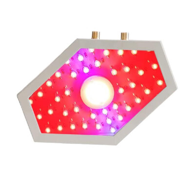 

1000W COB LED Grow Light for Indoor Plant Adjustable Full Spectrum Plant Light Growing Lamps with Veg&Bloom for Basement Plant