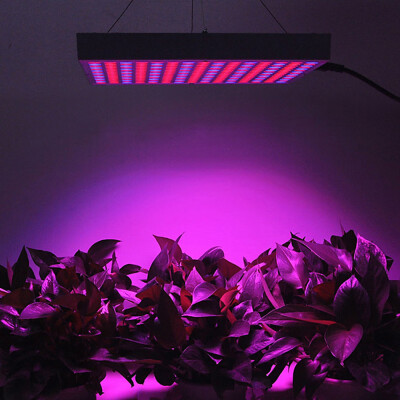 

14W LED Grow Light Blue Red Daylight Spotlight Spectrum for Indoor Plants Seedling - EU Plug