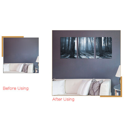 

Gotoamei Modern Artwork Canvas Wall Decorative Paintings Orchid&Rock Print 30cm