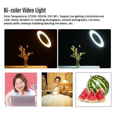 

ZOMEI 14 Inch 2700-5500K Bi-color Dimmable Ring Video Light LED Fill Light CRI 90 with Mini Ball Head Phone Holder Carrying Bag