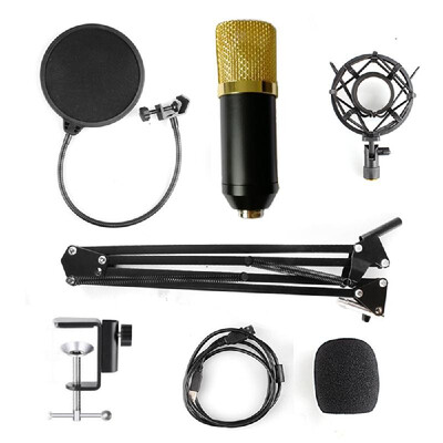 

Condenser Microphone Adjustable Condenser Microphone Kit Studio Suspension Boom for Computer Audio Studio Recording Vocal Mic with