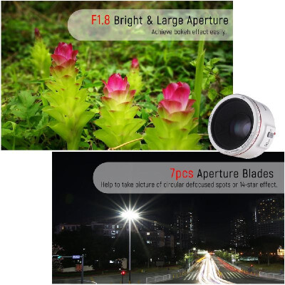 

YONGNUO YN50mm F18 II Standard Prime Lens Large Aperture Auto Focus 035 Closest Focal Length for Canon EOS 5DII 5DIII 5DS 5DSR