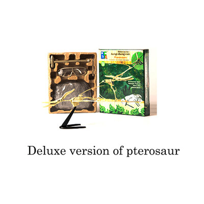 

Siaonvr Dinosaur Science Kit–Dig Up Dino Fossils -Tyrannosaurus rex