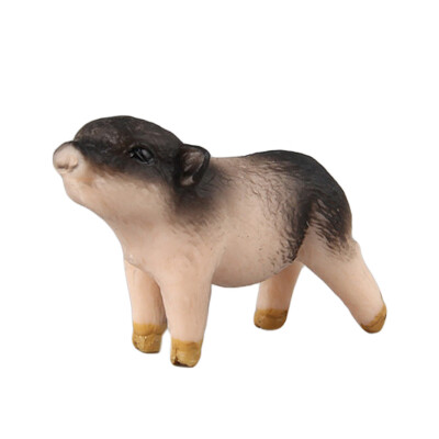 

Tailored Educational Simulation Pig Model Childrens Toys Pig Gifts Decoration