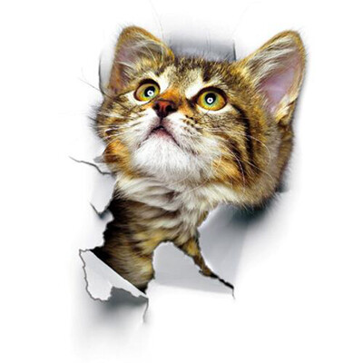

3D Cats Wall Sticker Hole View Bathroom Living Room Decoration Home Decor