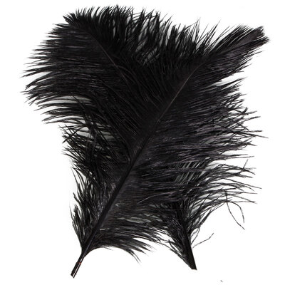 

10pcs Ostrich Feather Wedding Party Decoration 30-35cm Black