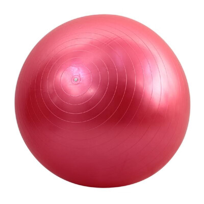 

65cm Fitness Exercise Gym Fit Yoga Core Ball Multi-use Indoor Fitness Training Yoga Ball
