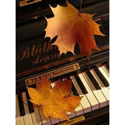 

kirin show 5D DIY Diamond Painting Cartoon Diamond Embroidery Piano Full Drill Resin Decor Home Mosaic Painting Maple Leaf