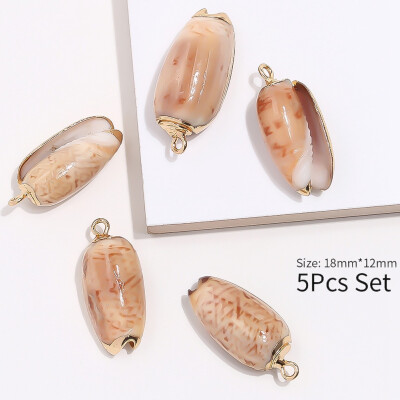 

5 Pcs Gold Plated Sea Shells For Jewelry Fashion DIY Handmade Home Decor Natural Shell Craft Accessories Ornaments