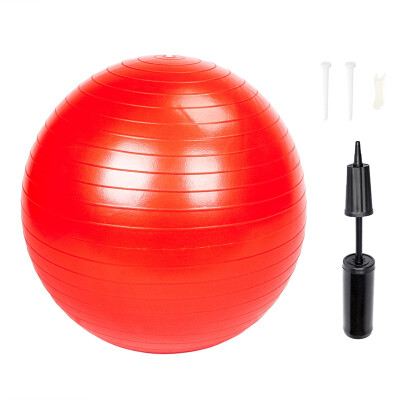 

Ktaxon Yoga Ball with Air Pump Anti Burst Exercise Balance Workout Stability 65 cmRed