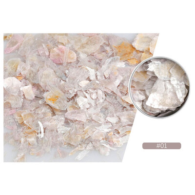 

Toponeto Nail Rock Slice Mica Slice Shell Slice Thin Fragment Mix Piece Nail Ornament