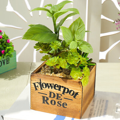 

Succulent Plants Potted Creative Ornaments Simulation Bonsai For Room Decor Pro